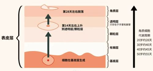 2024祛斑段位榜 寶藏級產品親測，還你干凈無瑕肌膚